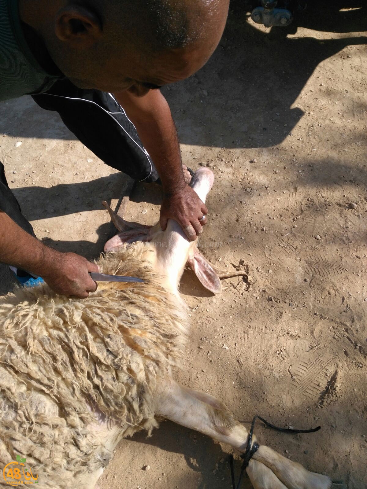 dab7 ada7y wu3ed (27).jpg